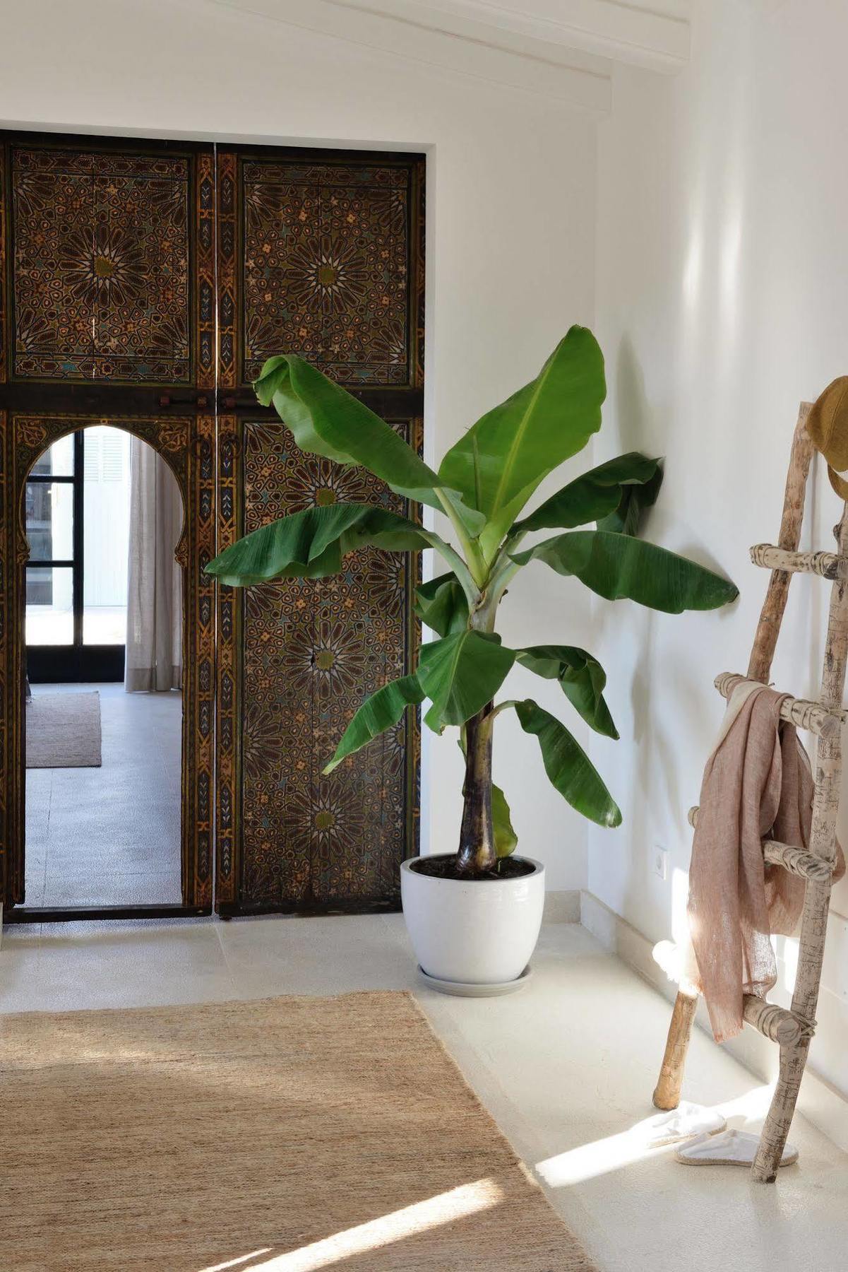 Cal Reiet Holistic Retreat Hotel Сантаний Екстериор снимка